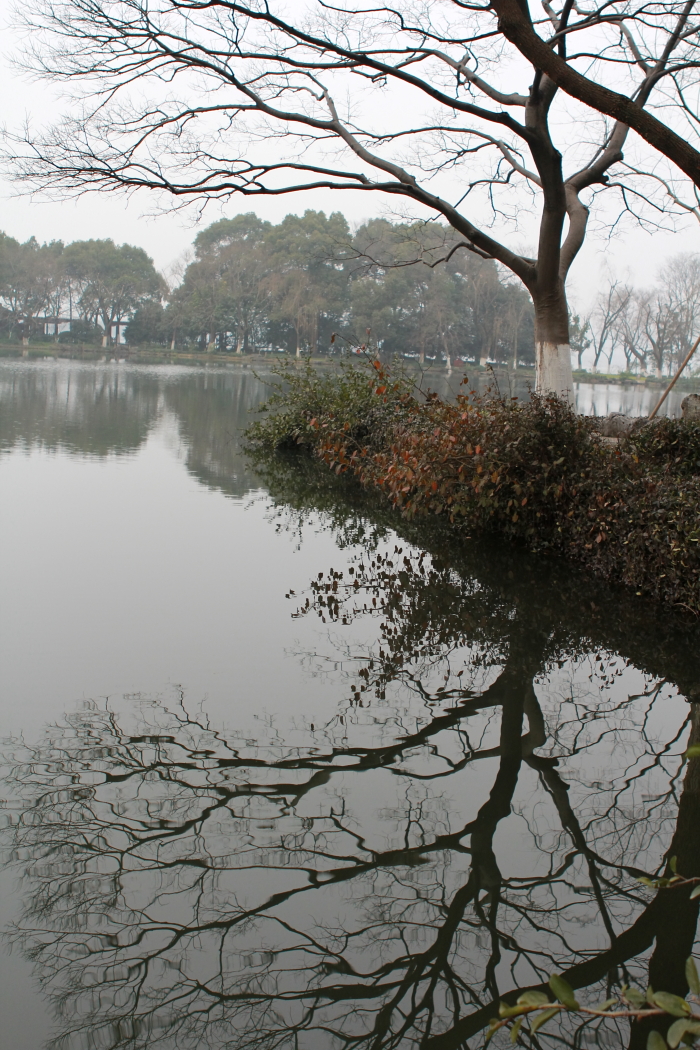 静静的西湖0010.JPG