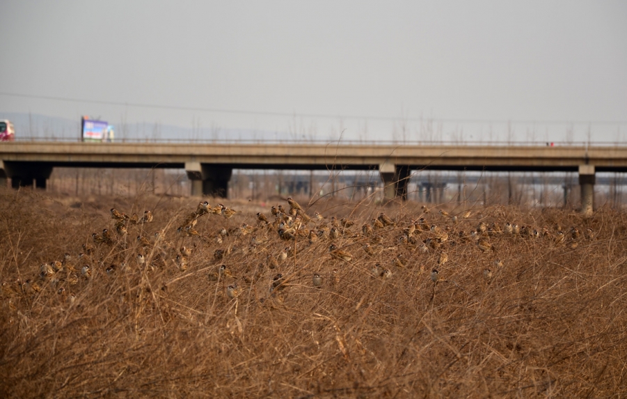 DSC_2614.JPG