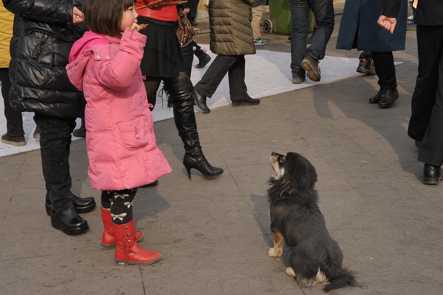 DSC_1052.JPG