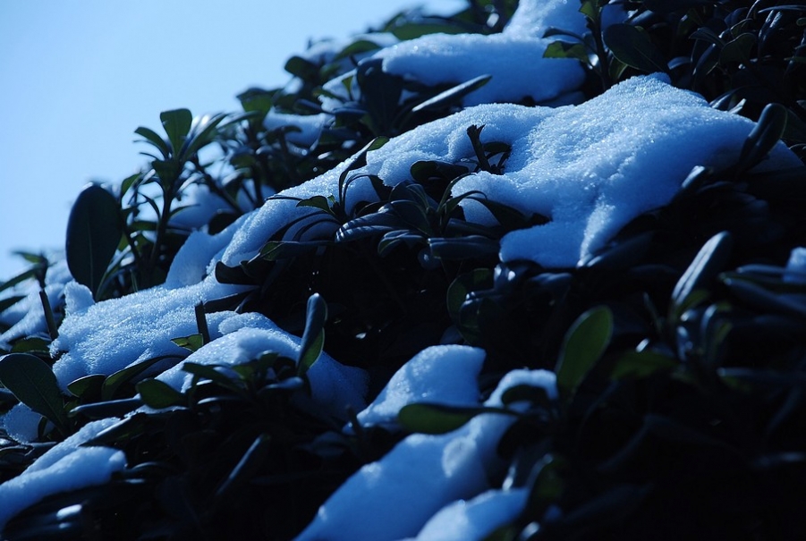 DSC_0312.JPG