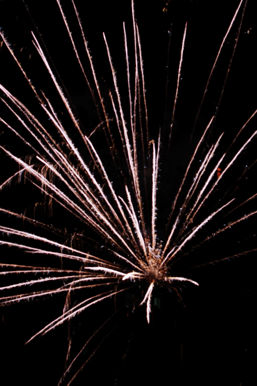 _MG_6365.jpg
