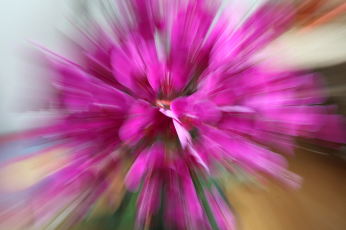 IMG_2000 - 副本.JPG