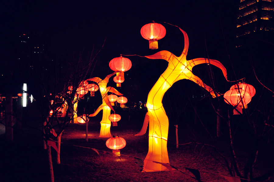 元宵佳节摄影 (1).jpg