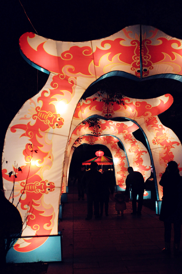 元宵佳节摄影 (16).jpg