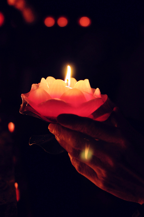 元宵佳节摄影 (23).jpg