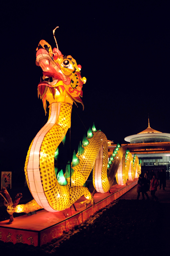 元宵佳节摄影 (32).jpg