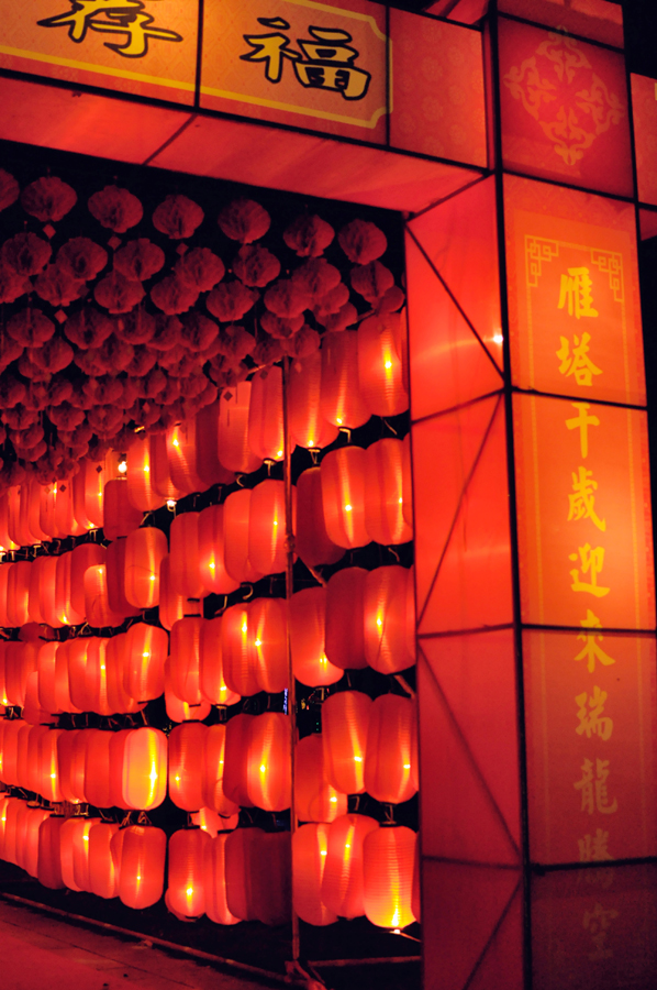 元宵佳节摄影 (28).jpg