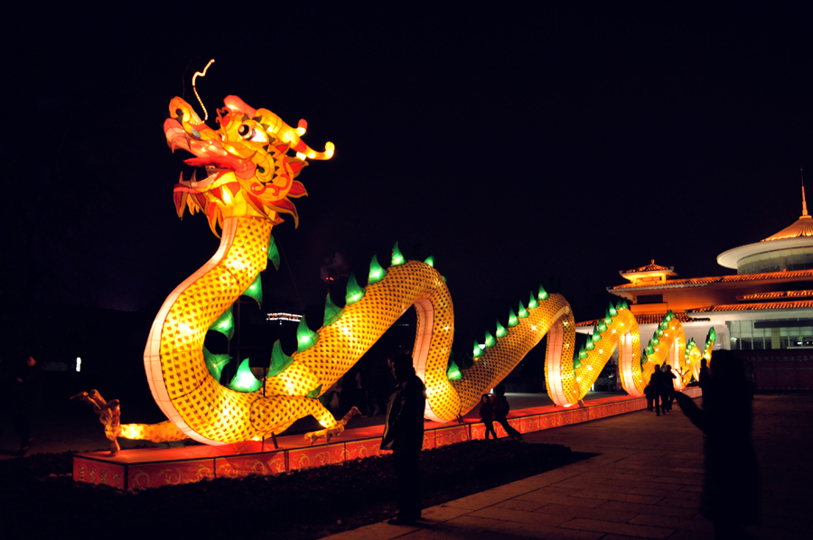 元宵佳节摄影 (31).jpg