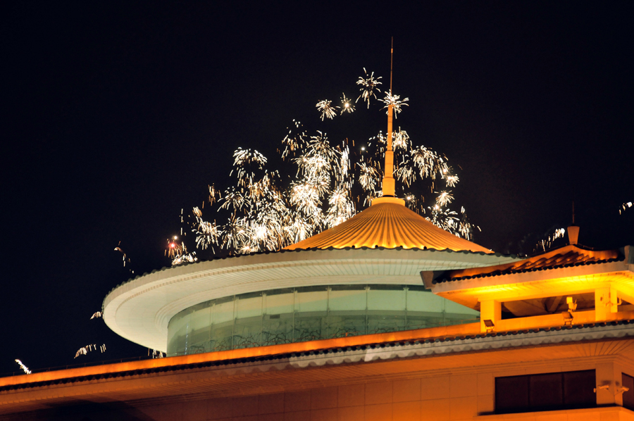 元宵佳节摄影 (33).jpg