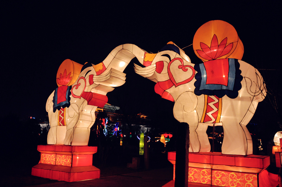 元宵佳节摄影 (44).jpg