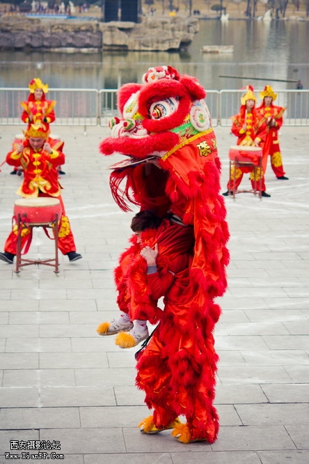 20120207-106.jpg