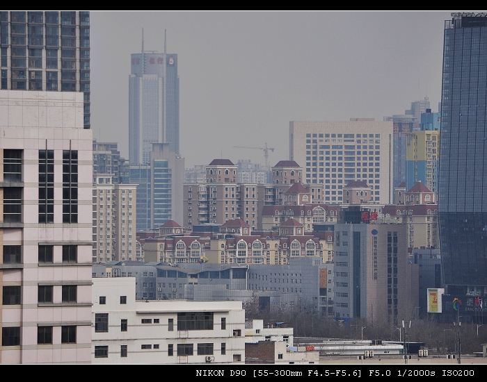 DSC_0234.jpg