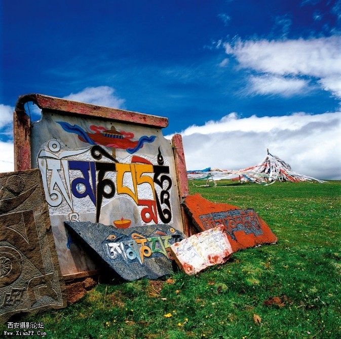 qinghai03-673x670.jpg