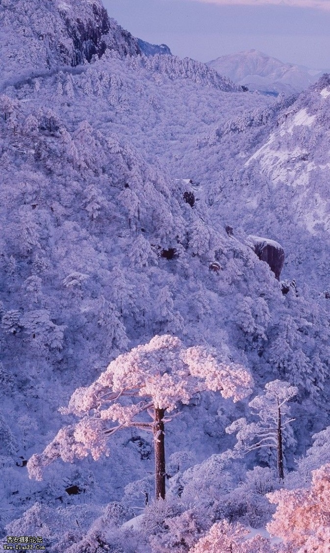 huangshan2-673x1127.jpg