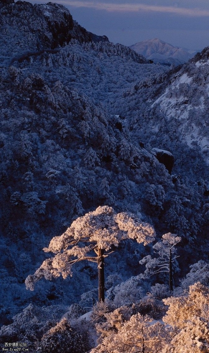 huangshan1-673x1133.jpg