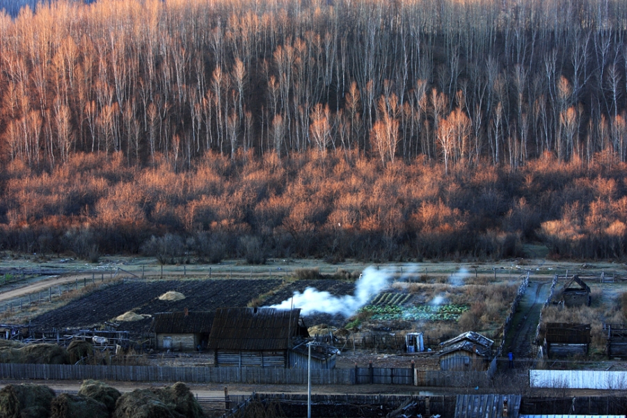 _MG_9353.jpg