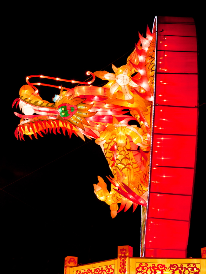 DPP_0040.JPG