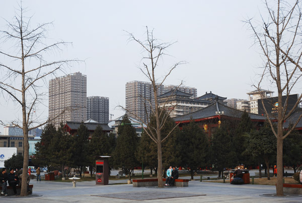 DSC_0275a.jpg