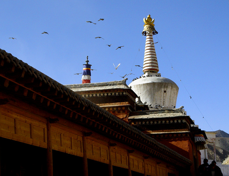 Dsc03987_副本.jpg