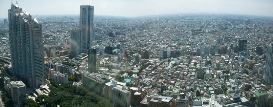 ALIM0222.JPG