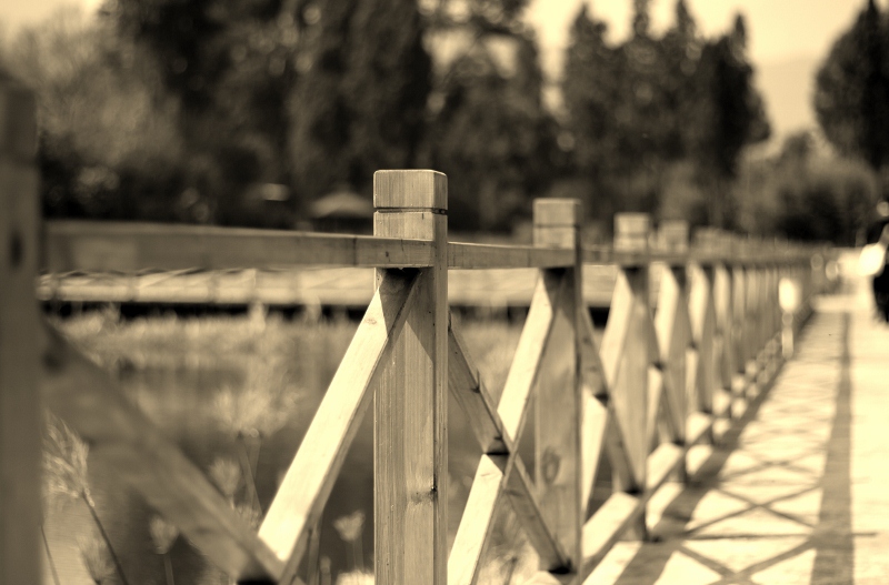 IMG_0063 (800x527).jpg