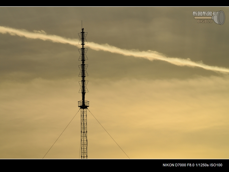 DSC_3449.jpg