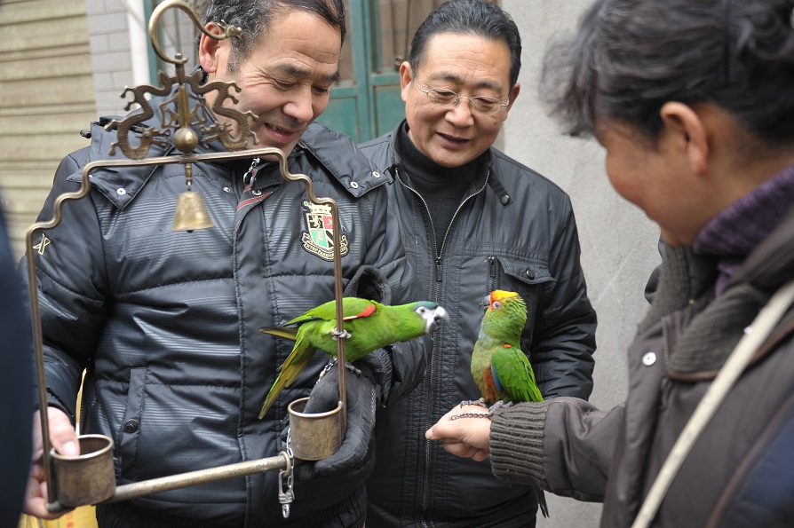 DSC_2348.JPG