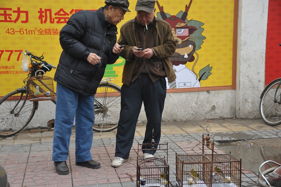 DSC_2380.JPG