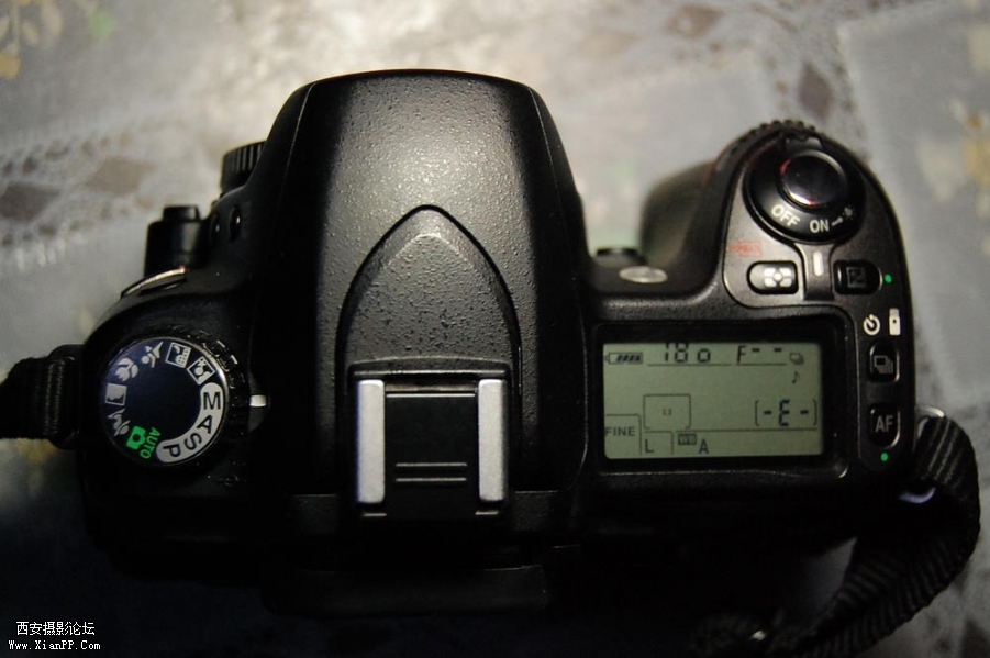 DSC_5117.JPG