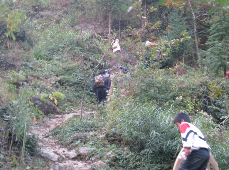 加油，奋进