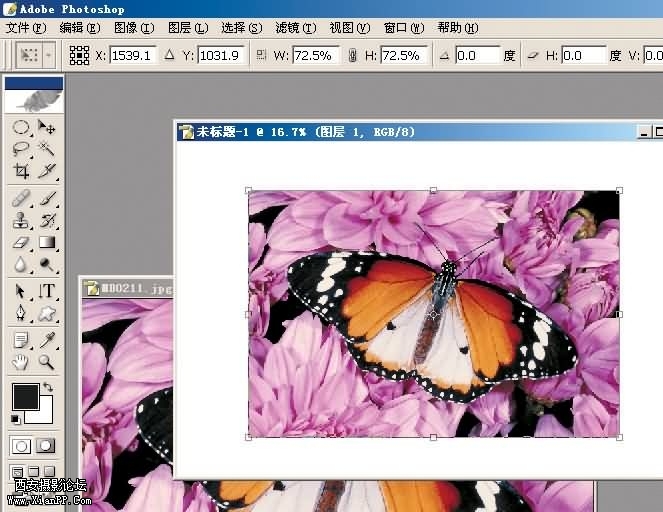 youpiao03.jpg