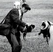 xierende.jpg