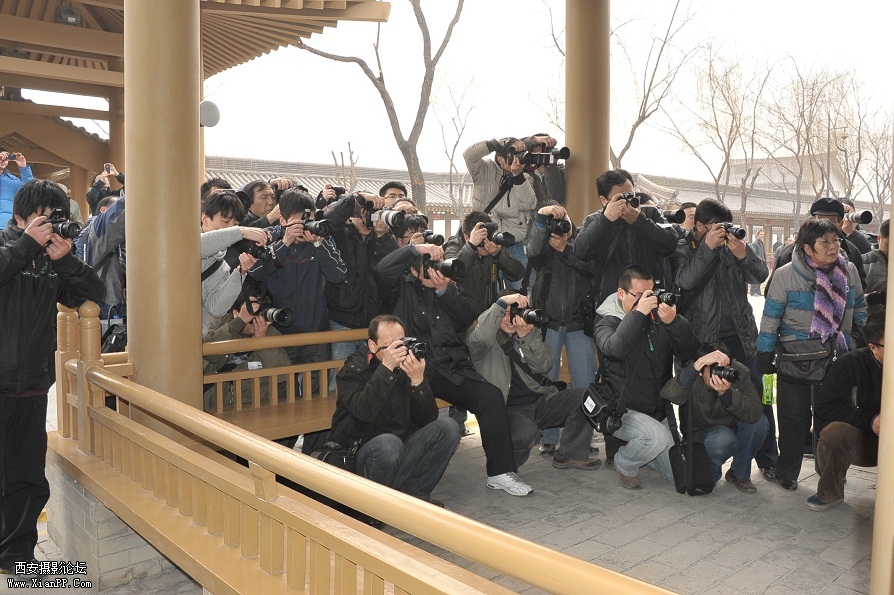 DSC_2940.JPG