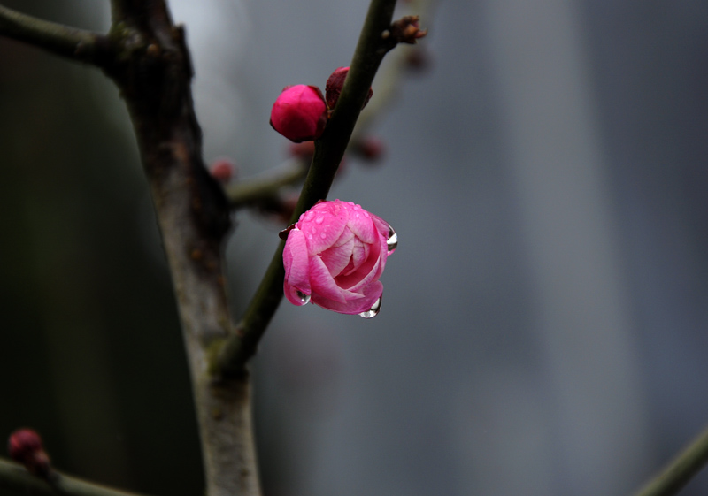 _DSC0084 复制-1.jpg