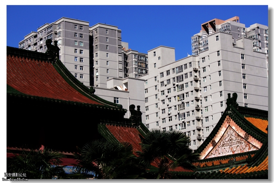 nEO_IMG_2011.10.16兴善寺--完美 029.jpg