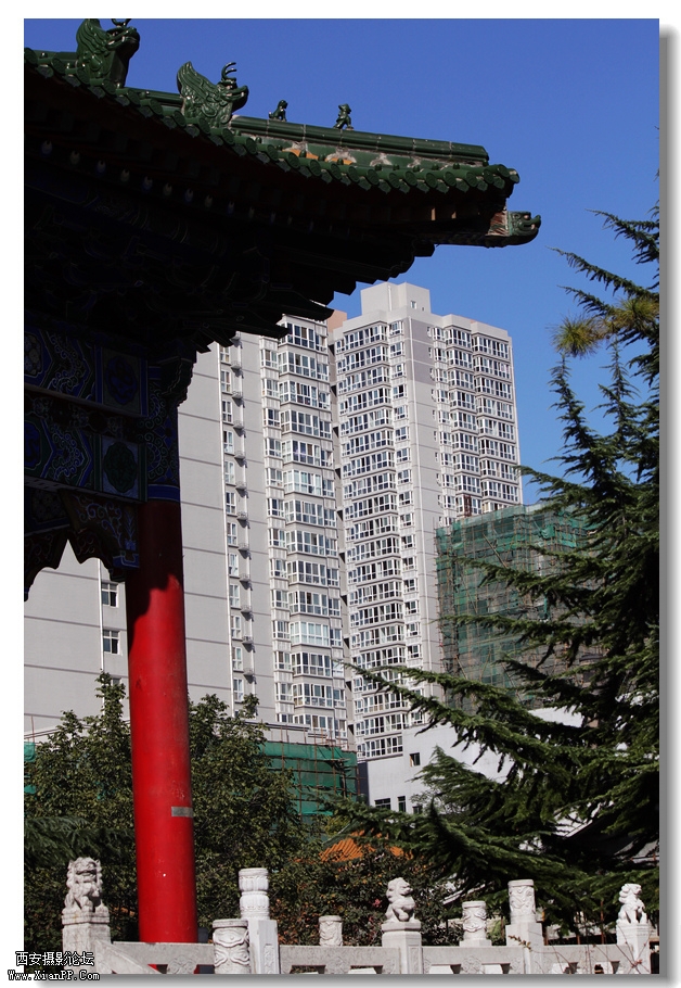 nEO_IMG_2011.10.16兴善寺--完美 031.jpg