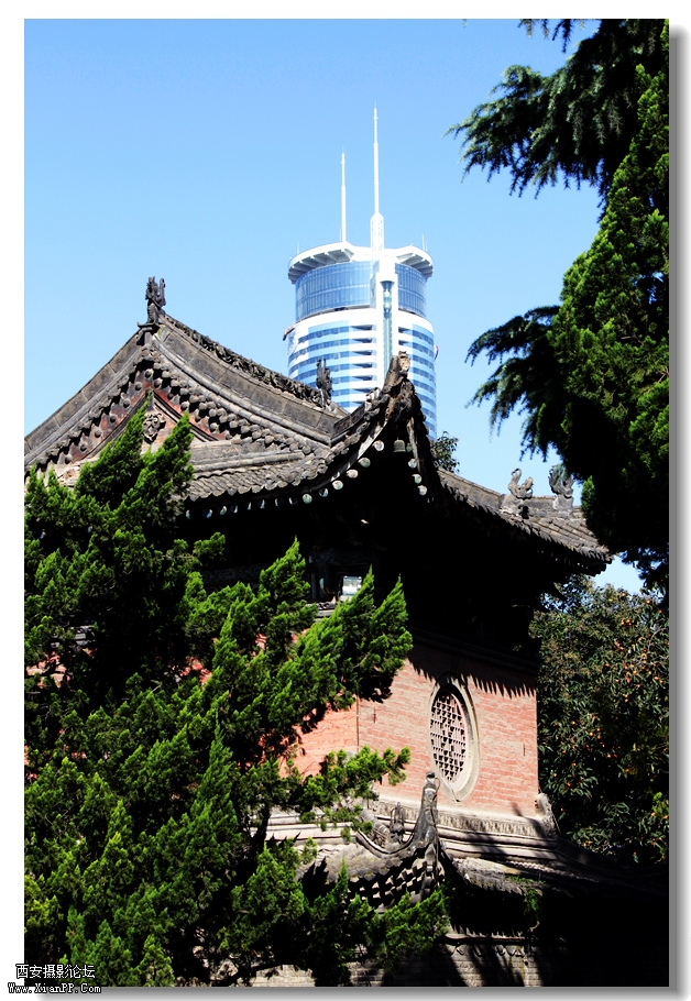 nEO_IMG_2011.10.16兴善寺--完美 032.jpg