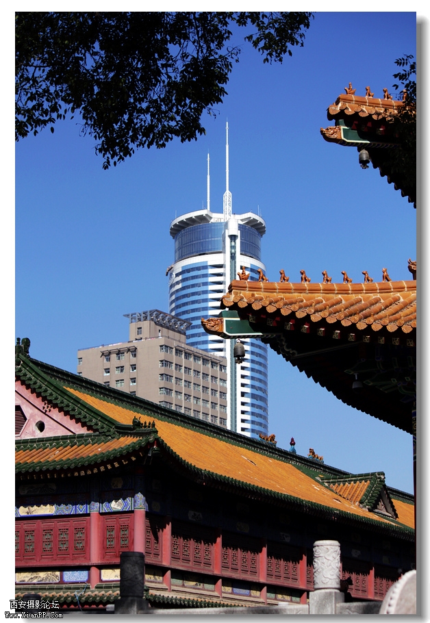 nEO_IMG_2011.10.16兴善寺--完美 043.jpg