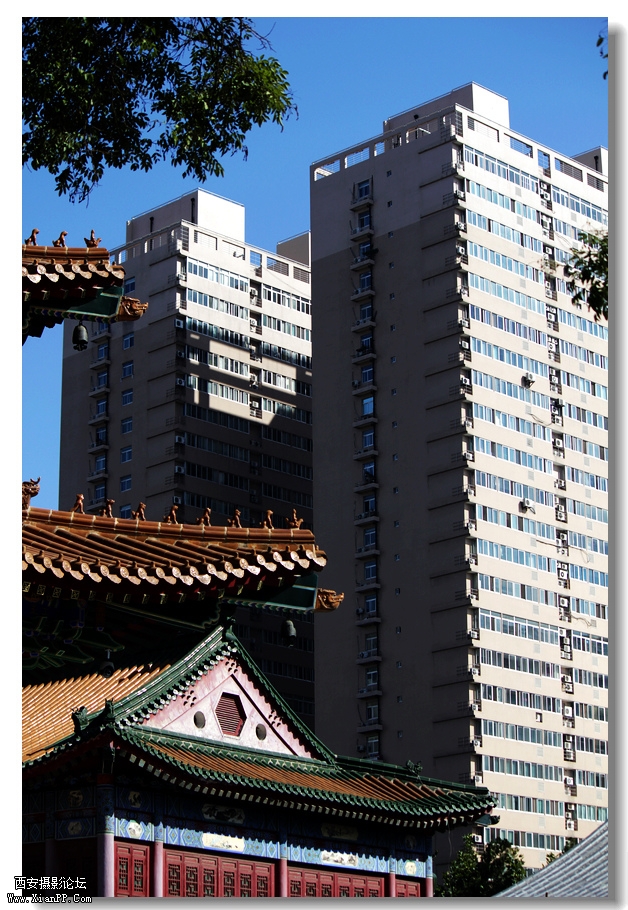 nEO_IMG_2011.10.16兴善寺--完美 044.jpg