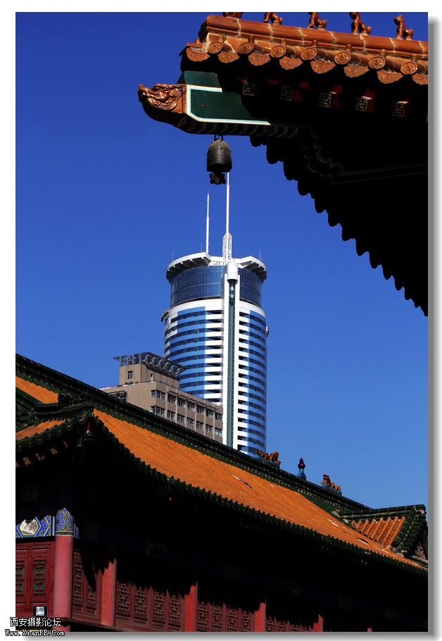 nEO_IMG_2011.10.16兴善寺--完美 045.jpg