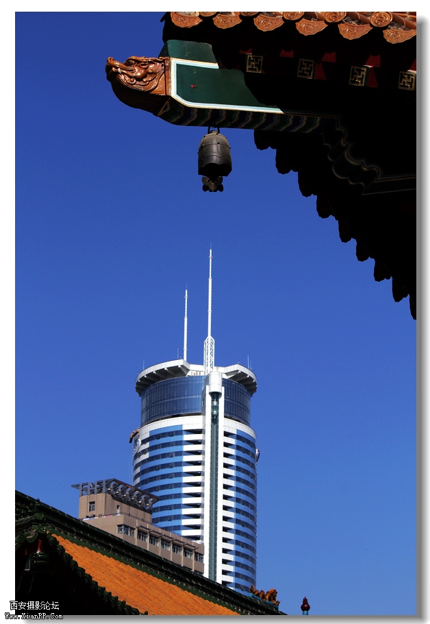 nEO_IMG_2011.10.16兴善寺--完美 046.jpg