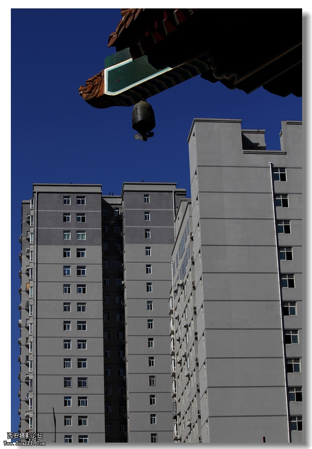 nEO_IMG_2011.10.16兴善寺--完美 052.jpg