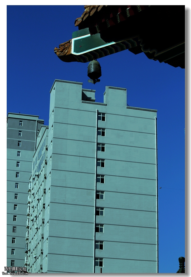 nEO_IMG_2011.10.16兴善寺--完美 053.jpg