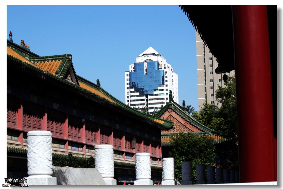 nEO_IMG_2011.10.16兴善寺--完美 054.jpg