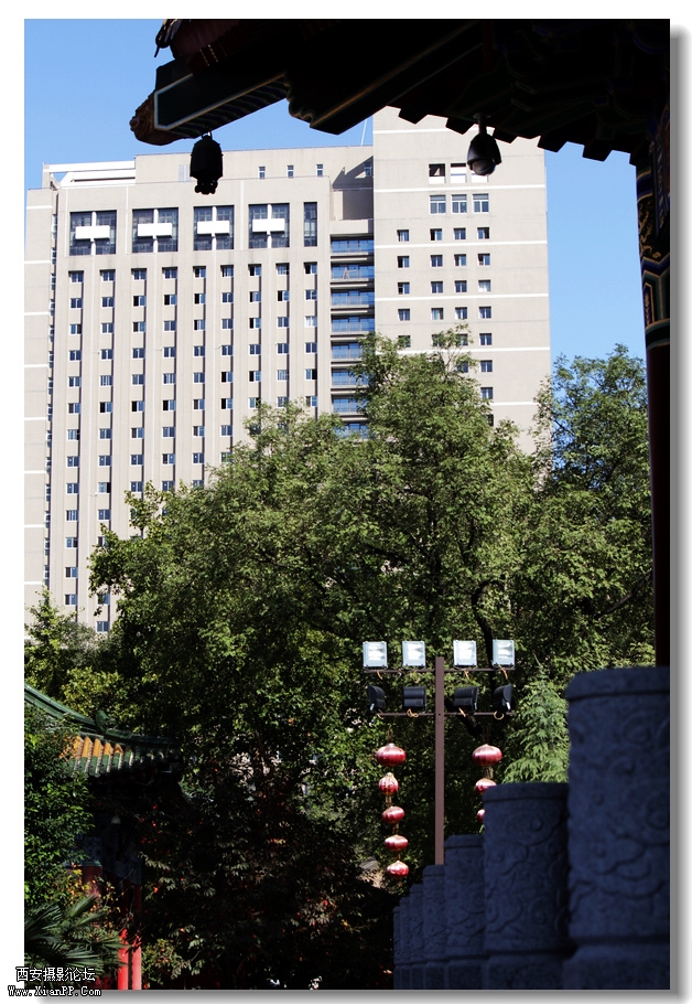 nEO_IMG_2011.10.16兴善寺--完美 057.jpg