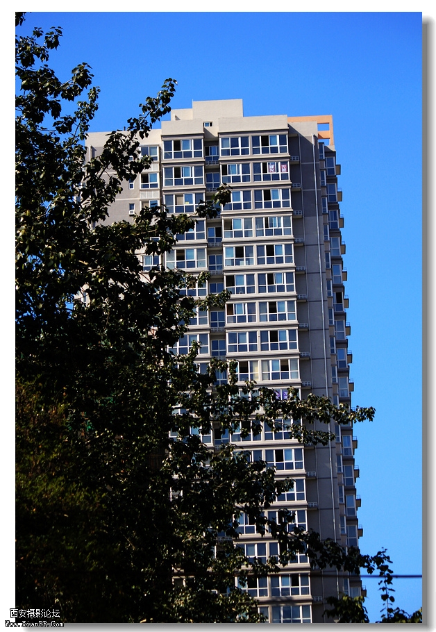 nEO_IMG_2011.10.16兴善寺--完美 087.jpg