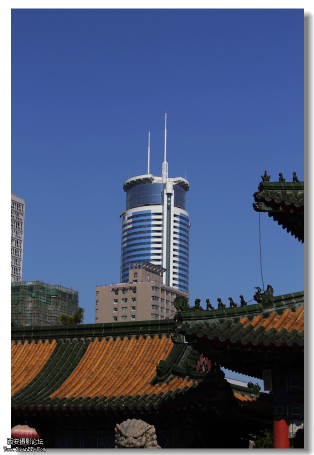 nEO_IMG_2011.10.16兴善寺--完美 022.jpg