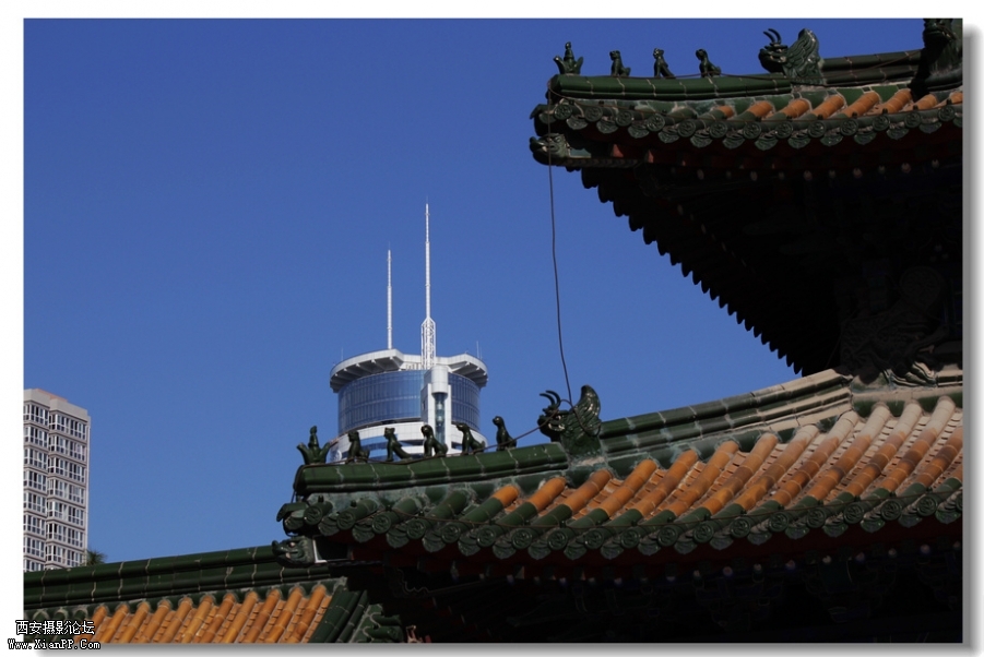 nEO_IMG_2011.10.16兴善寺--完美 024.jpg