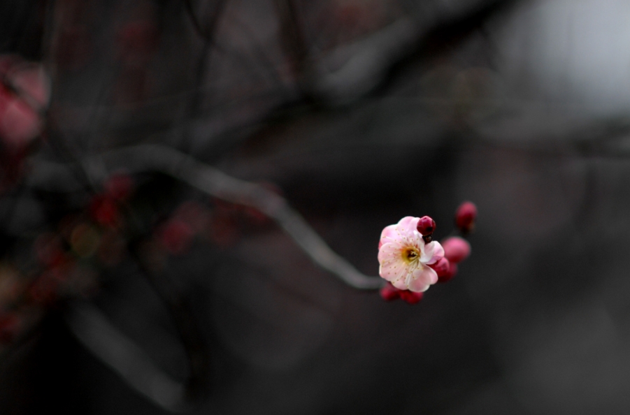 DSC_0006.JPG