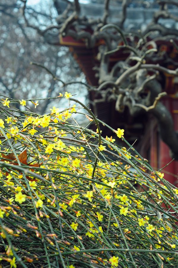 照片 047123.jpg